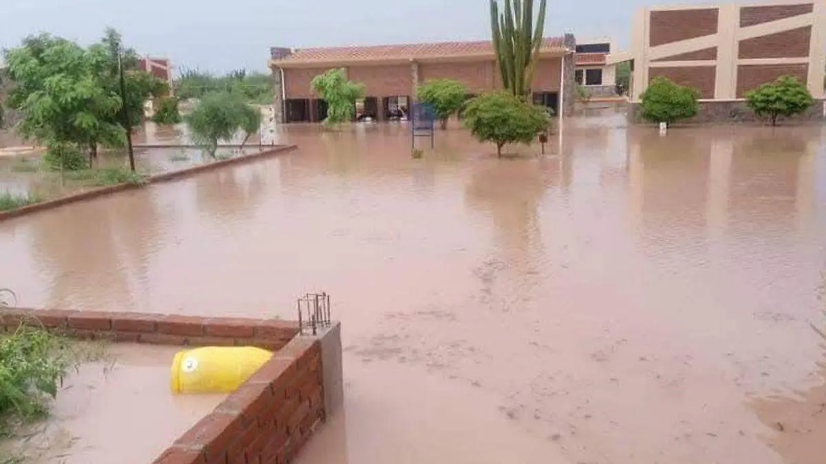 Se inunda universidad en Masiaca por intensas lluvias; reportan afectaciones en Navojoa y Etchojoa