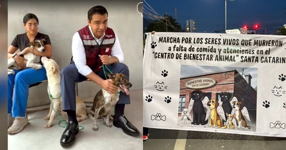Acusan muerte masiva de perros en albergue municipal; clausuran centro y crece crisis en Nuevo León