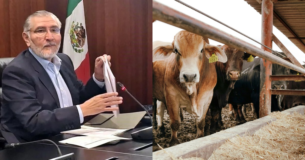 Adán Augusto asegura que ahora se dedica a la ganadería