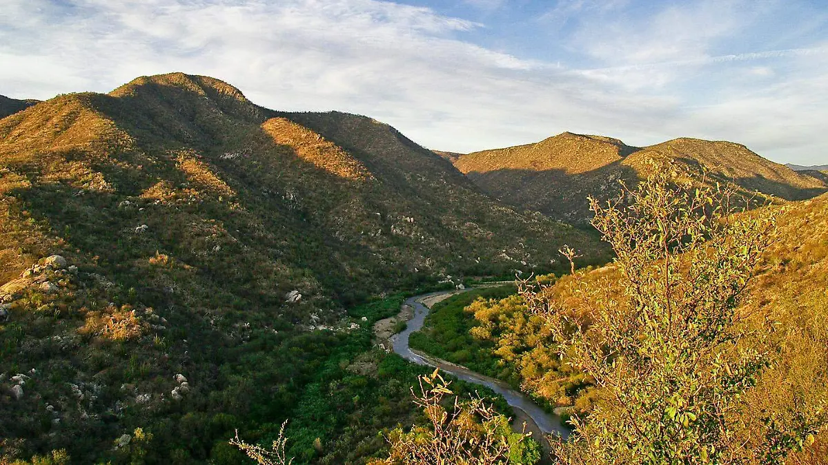 Acusan falta de sustento técnico y amenazas contra opositoras de nuevas presas