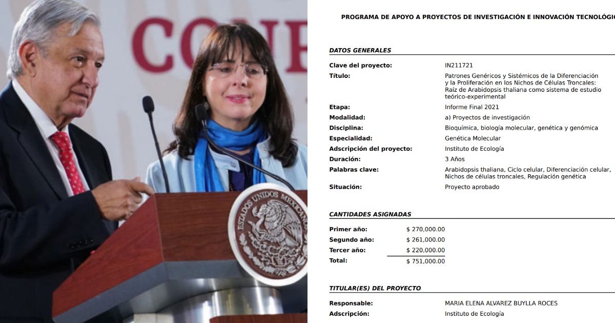 Álvarez-Buylla autorizó pagos millonarios a proyectos propios y de su madre desde Conahcyt