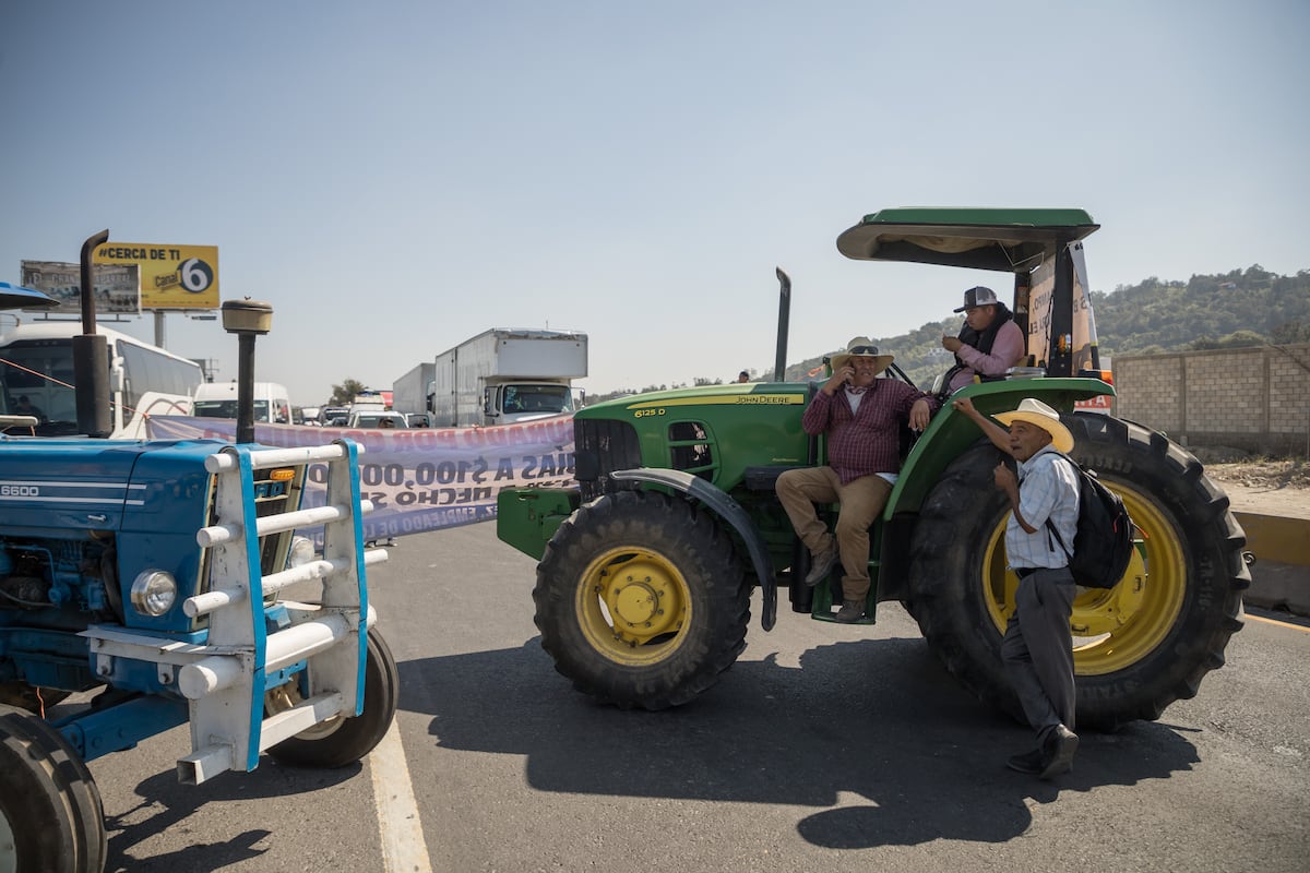Productores logran aumento al precio del maíz tras bloqueos en 20 estados