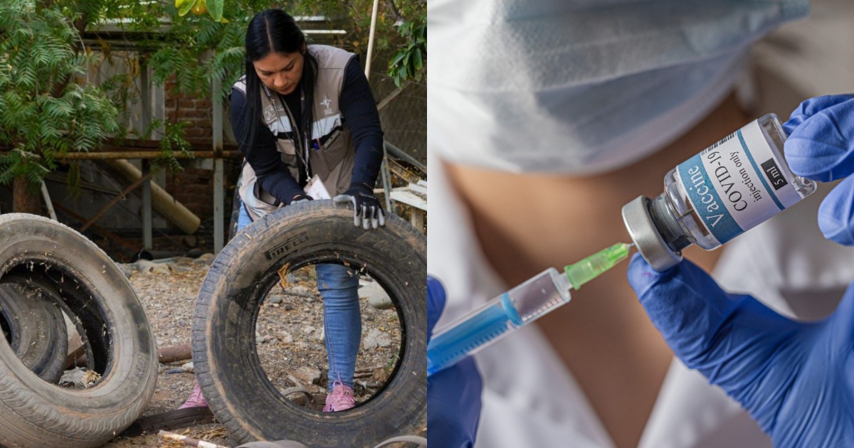 Aumentan casos de Covid y activan fumigación masiva contra dengue en 26 municipios de Sonora