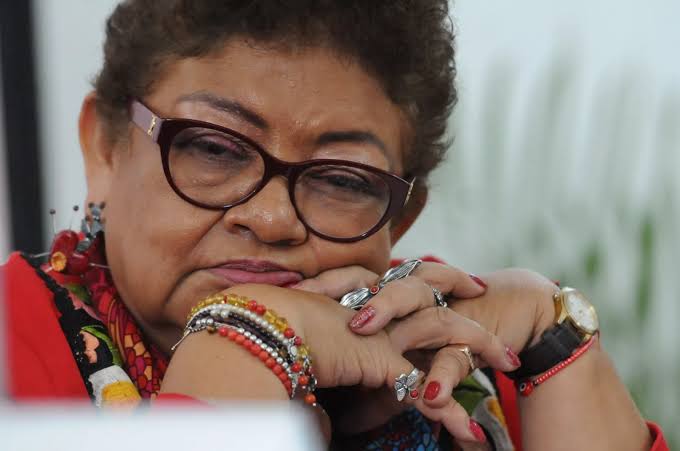 Se calienta el Senado: versiones apuntan a salida de Gertz y relevo con Ernestina Godoy