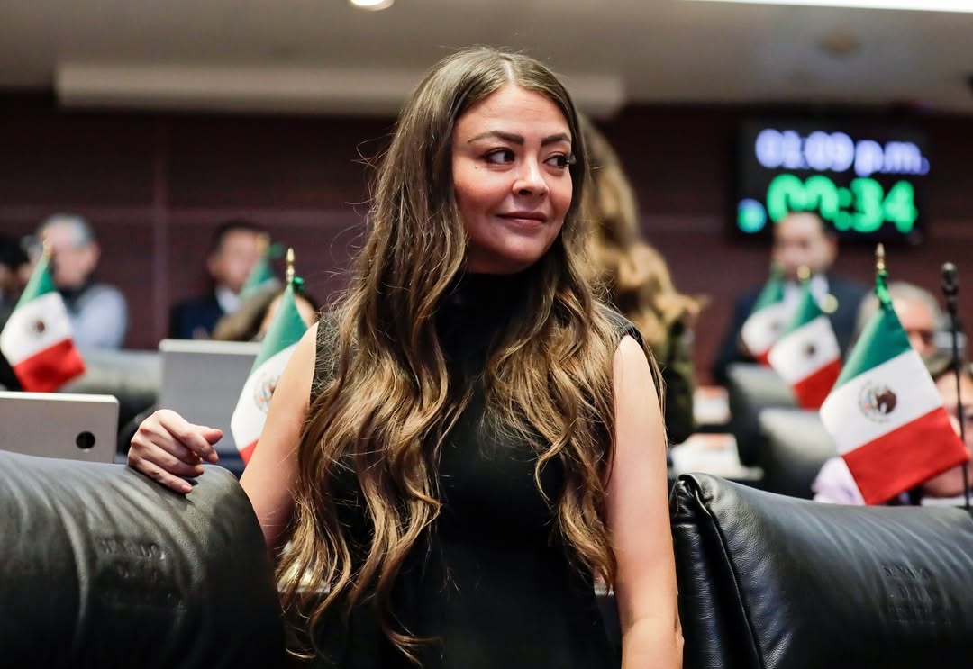 Senadora de Morena declara crédito por 330 millones… pero ningún bien a su nombre