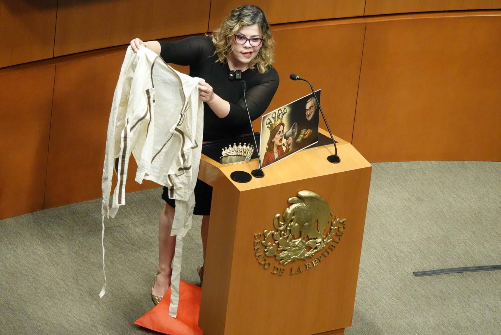 La fortuna inmobiliaria de Lilia Aguilar: diputada declara bienes por más de 22 millones de pesos