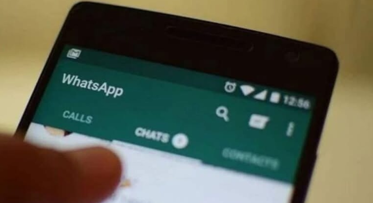 Magistrado propone tumbar sanción contra activista por caso de chats filtrados