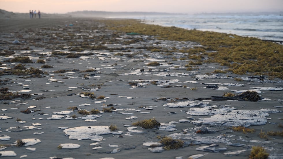 Mancha de petróleo avanza por Veracruz y Tabasco mientras autoridades se deslindan
