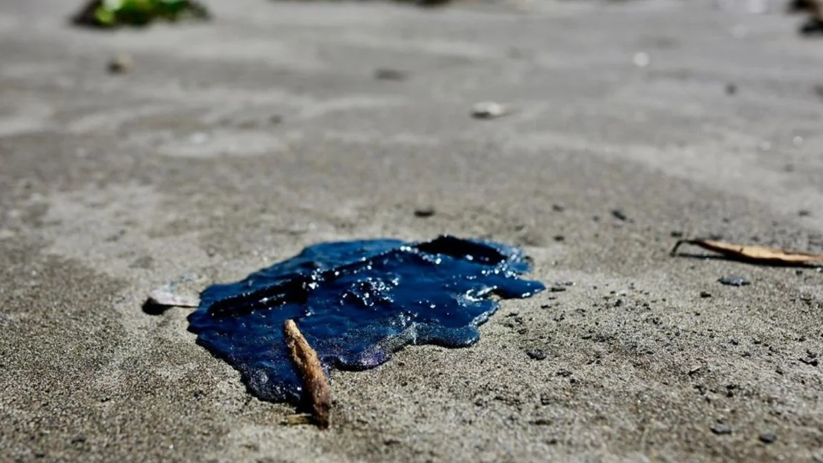 Acusan a Pemex de ocultar información sobre derrame en Cantarell detectado desde febrero